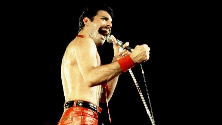 Freddie Mercury 'slowly let go' of life