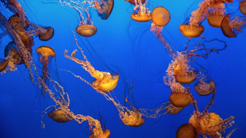 best museums to visit in paris