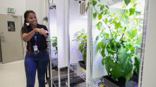 One Small Step for Agriculture? Scientists Grow Plants in Moon Soil for the First Time