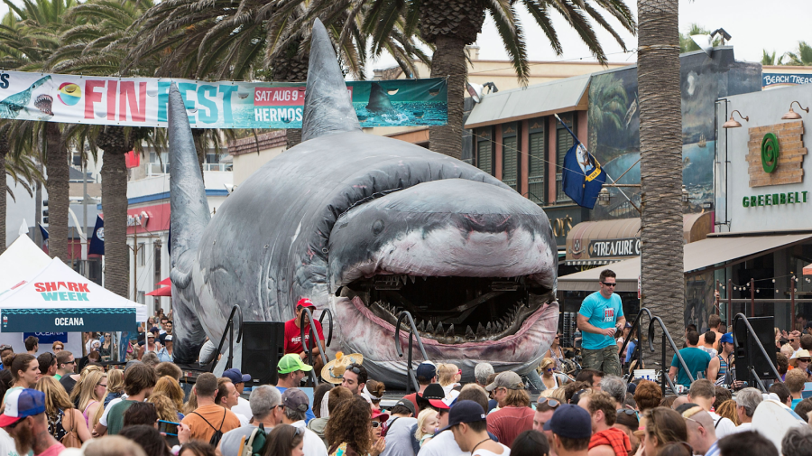 Shark Week