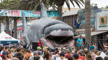 How Did Discovery Channel’s Shark Week Become So Popular?