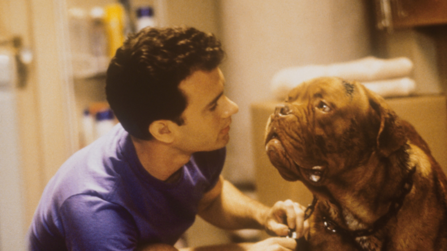 Lassie Come Home (again): remake of a classic is a reminder of our bond with pets