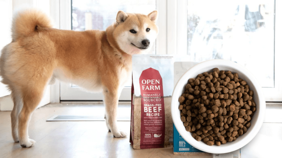 whats the best puppy food on the market