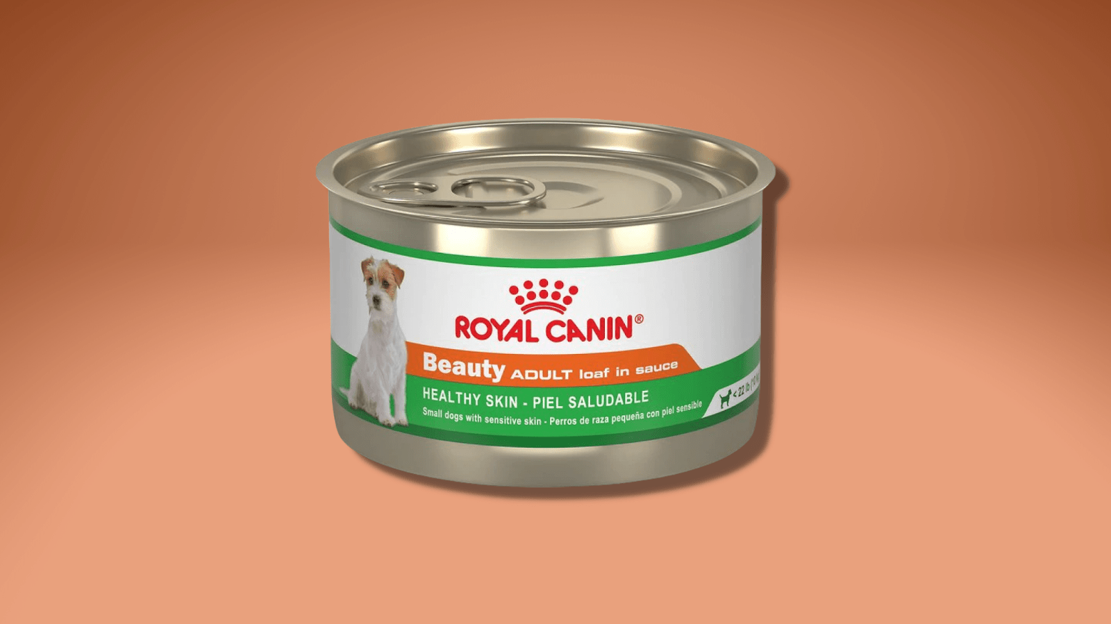 10 Best Dog Food Brands for Every Pup