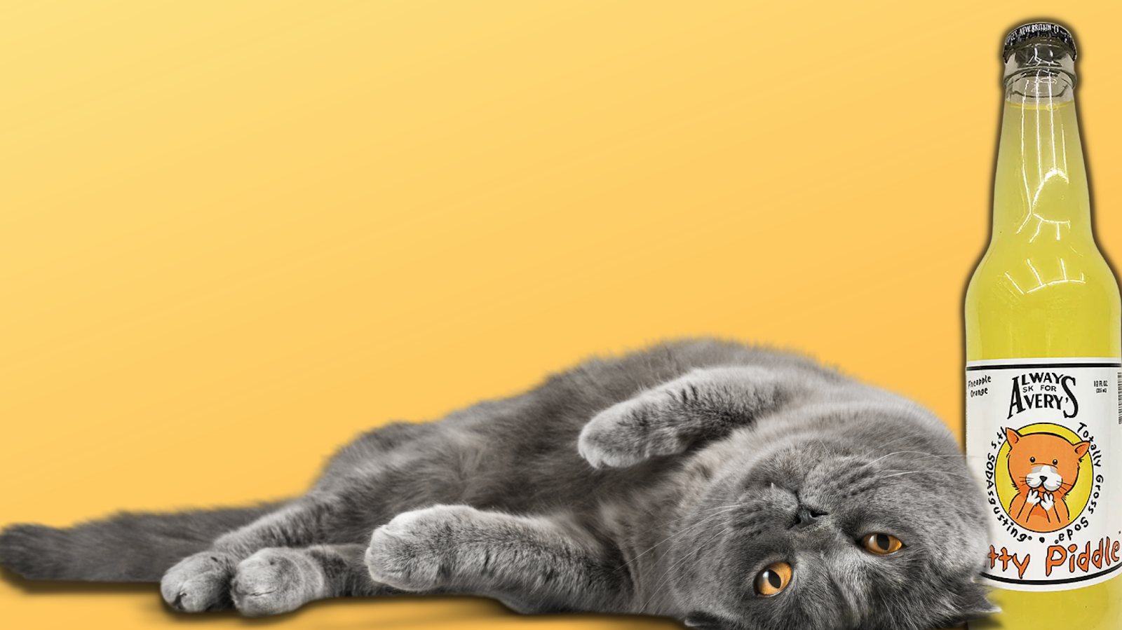 CocaCola Dreamworld & 20 More Weird Novelty Soda Flavors