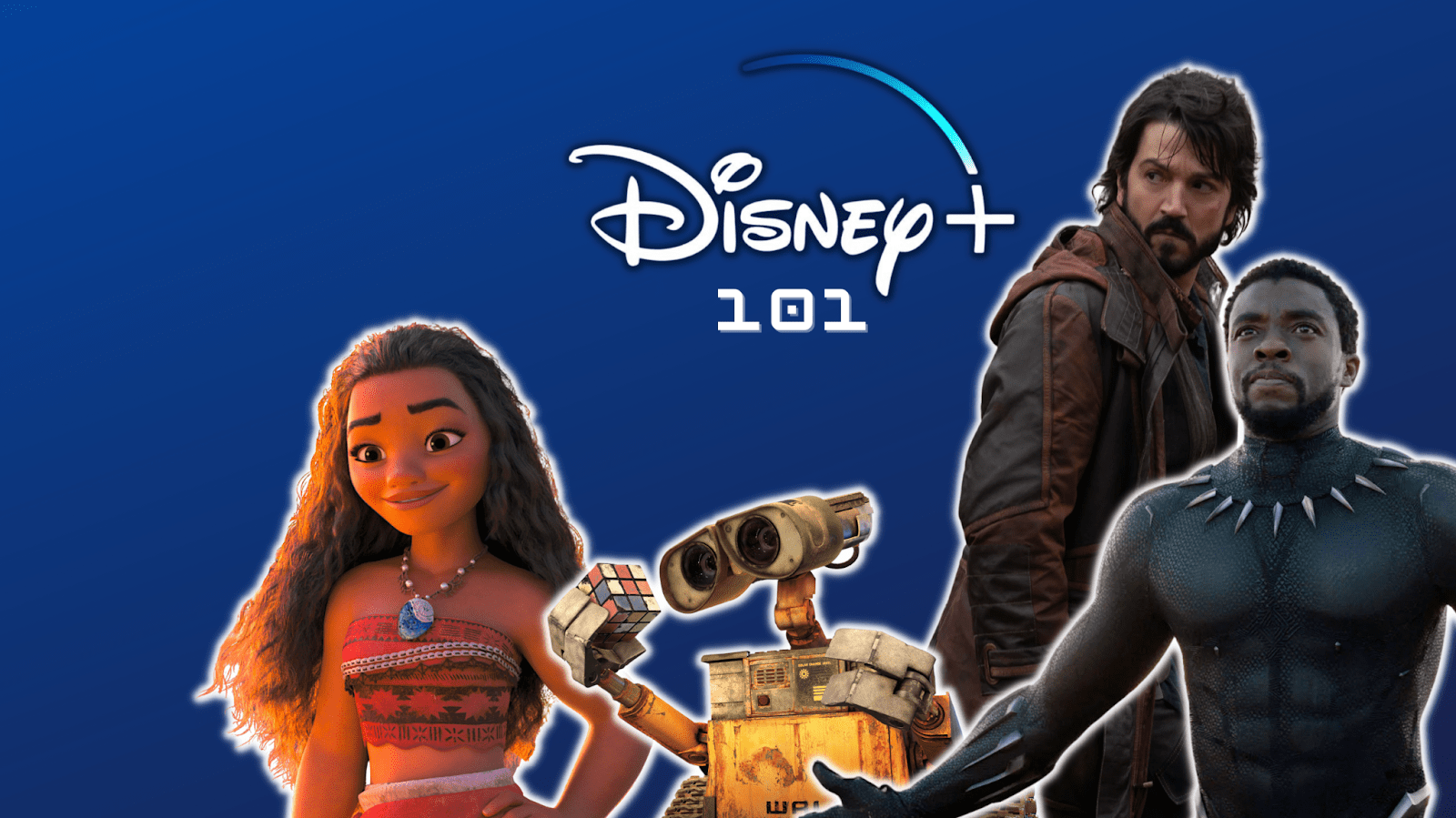 Disney Plus 101 How Much Is the Disney+ Bundle?