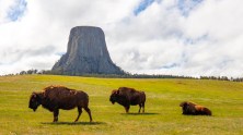 Wyoming Tourism Guide: Things to Do and See in the Cowboy State